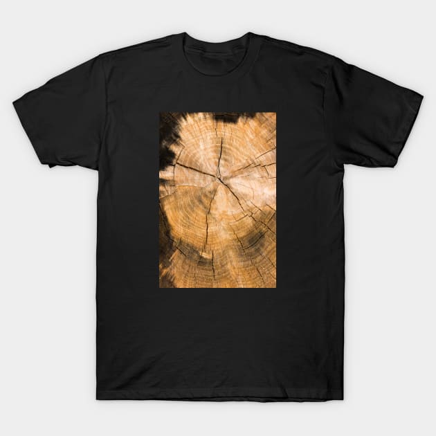 Wooden Tree Circle Texture T-Shirt by textural